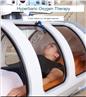 Hyperbaric Oxygen Therapy