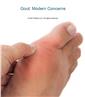 Gout: Modern Concerns